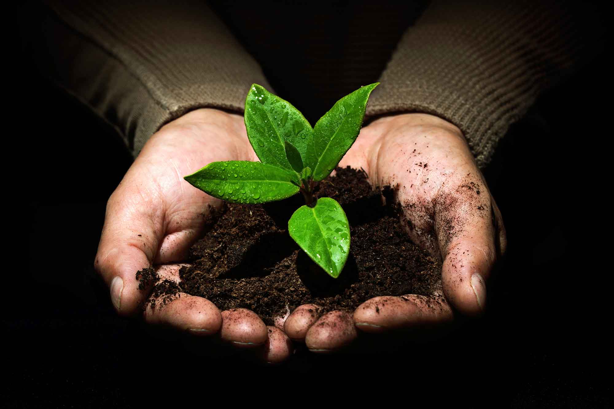 Food Waste composting workshop Wednesday 9th March (Part of Food Waste Action Week)