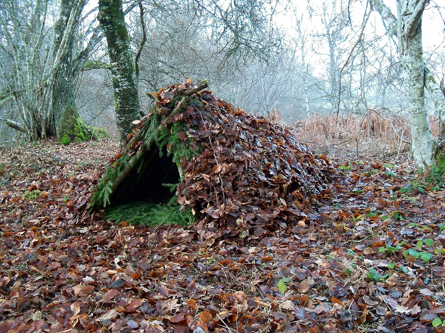 Wild food and Bush craft