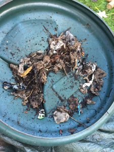 A pile of tea bags which are empty of tea leaves which have been sieved out of compost. The bags have been collected together and placed on the upturned lid of a green plastic compost bin.