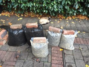 five garden waste sacks containing compost and well rotted leaf mould sat upon a patio. A pet cat lounges in the background.