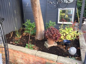 Compost filling a brick built raised bed planted with small shrubs in a garden.