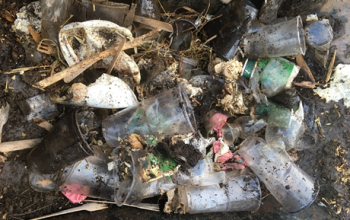compostable plastics in a home compost bin