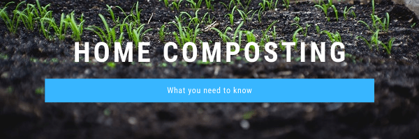 Everything you need to know to get started with home composting