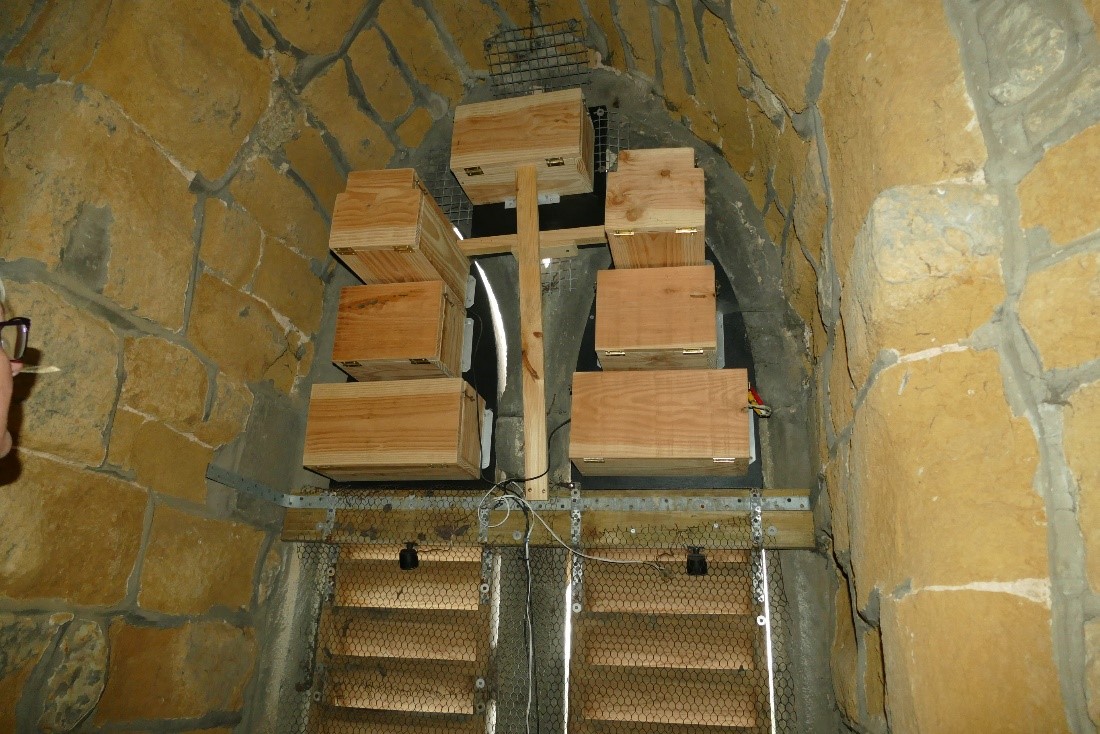 Swift boxes installed in the window of a chuirch