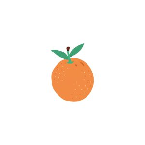 a satsuma