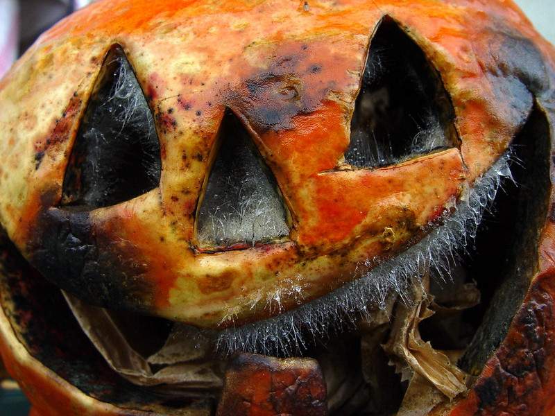 Pumpkin smash and composting workshop