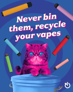A poster showing an image of a domestic cat coloured bright pink with hypnotic blue eyes perched upon a domestic bin. In the background single use vapes fall from the air. Text on the poster reads "Never bin them, recycle your vapes".