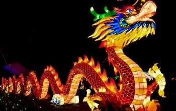 A large illuminated model of Chinese new year dragon