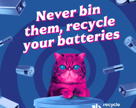Image of pink cat with the text Never bin them, recycle your batteries.